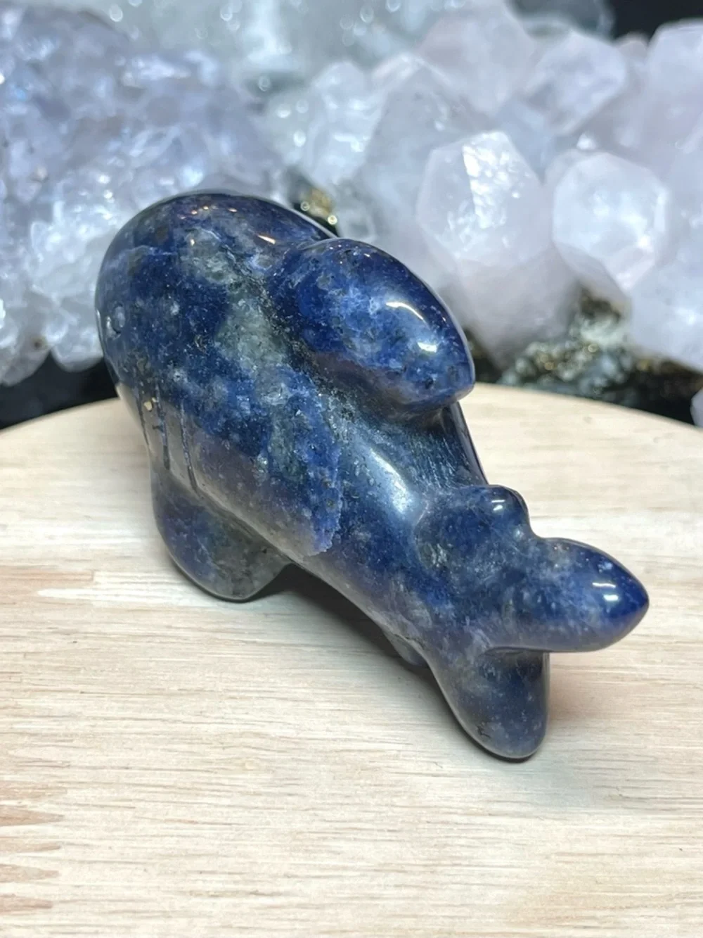 🌑Sodalite Polished Crystal Shark Animal Carving🌑